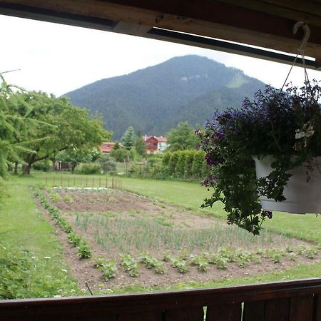 Apartman Turista Pavčina Lehota Εξωτερικό φωτογραφία