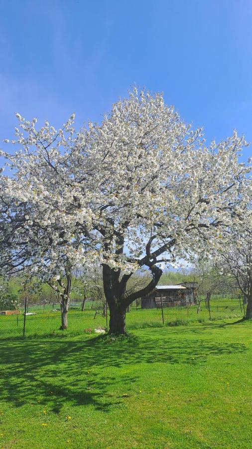 Apartman Turista Pavčina Lehota Εξωτερικό φωτογραφία